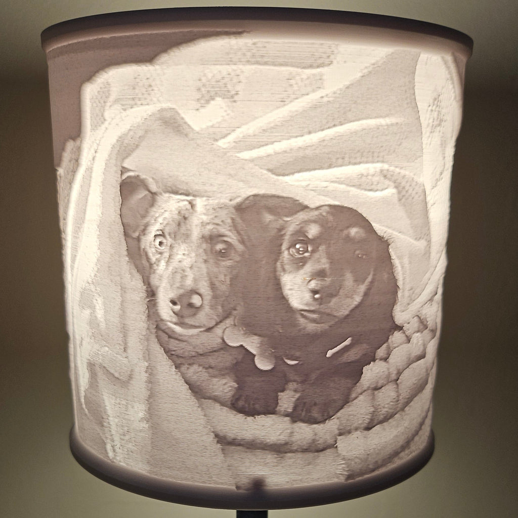 Personalized Lithophane Lampshade