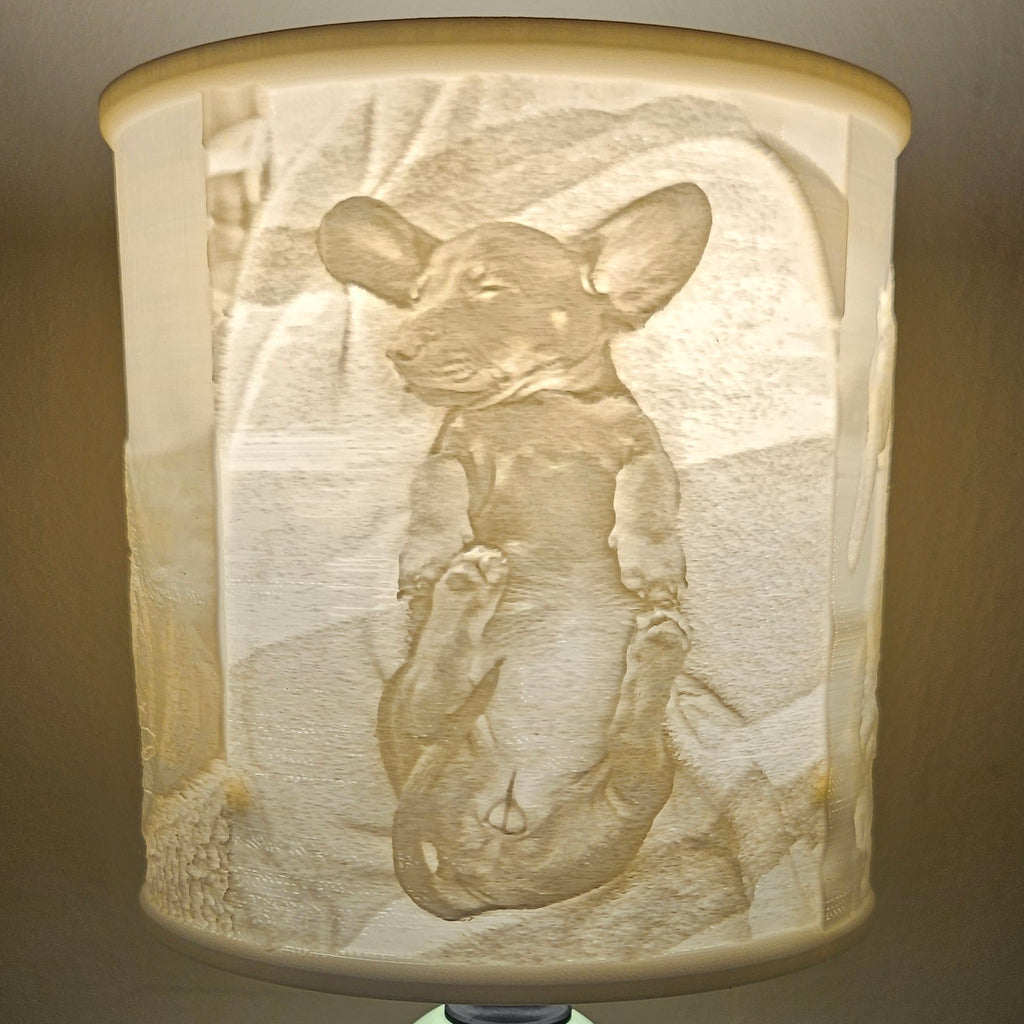 Personalized Lithophane Lampshade