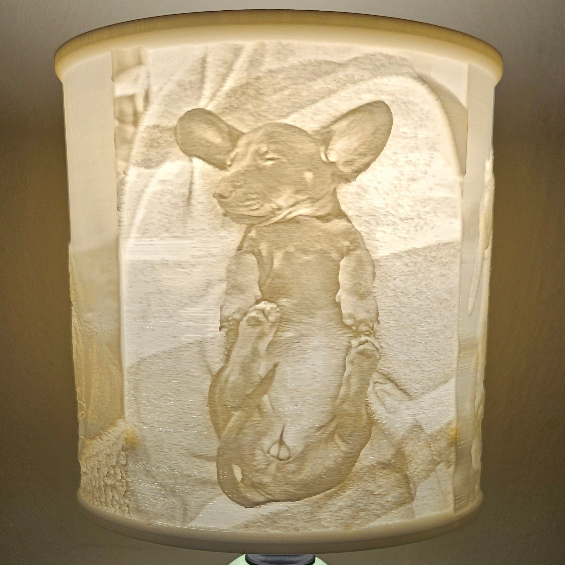 Personalized Lithophane Lampshade